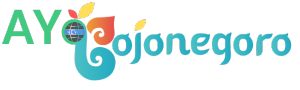 Ayo Bojonegoro